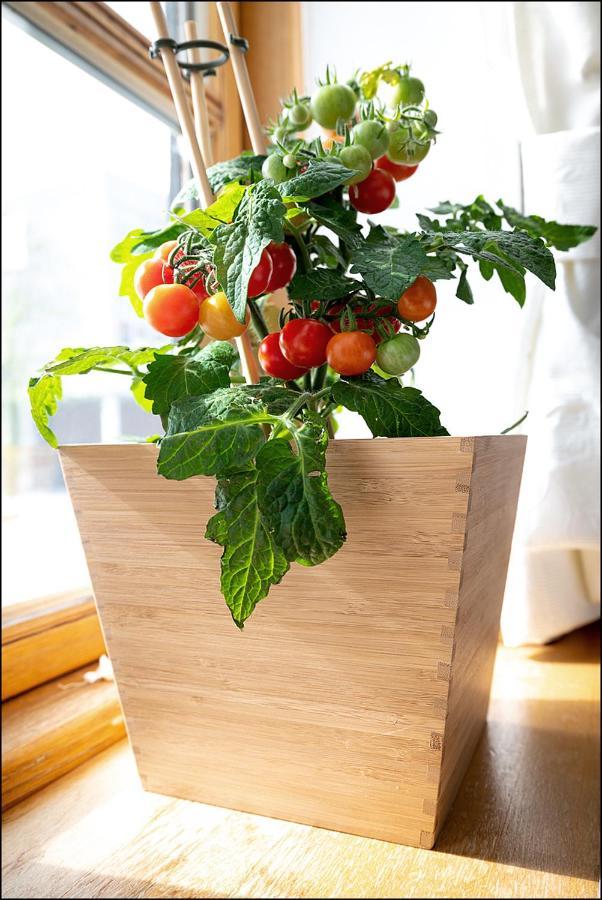 Markt Eins Gaestezimmer Schoppenstedt Exteriér fotografie